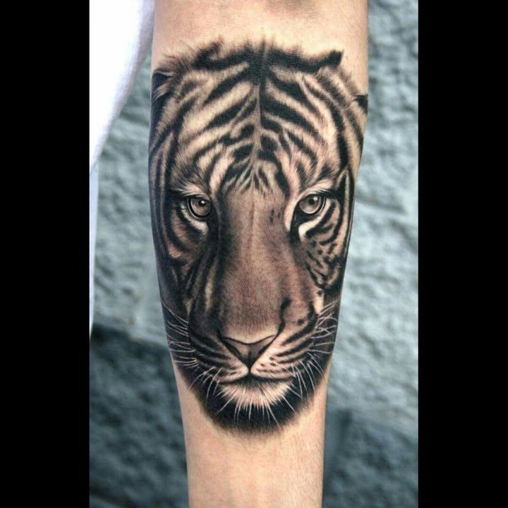 老虎纹身图案-10组表情各异的老虎纹身图