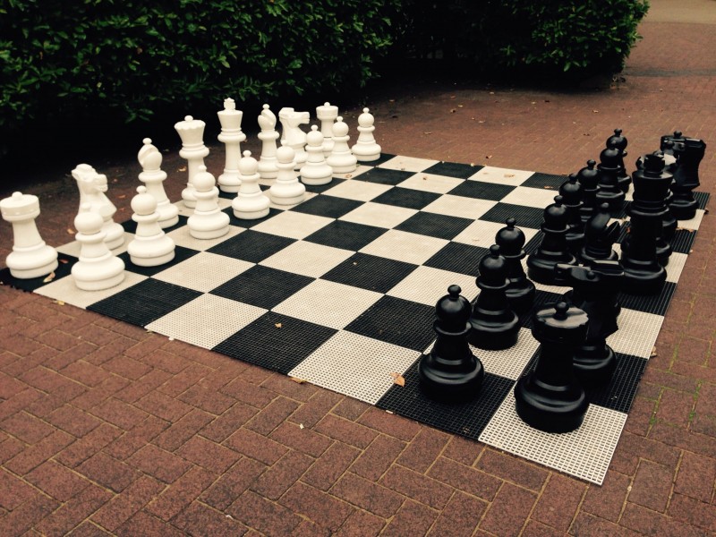 玩法多样的国际象棋图片(15张)