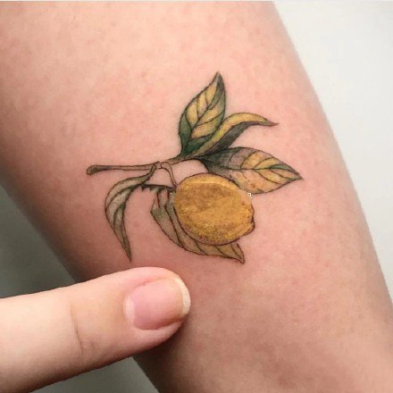 柠檬的纹身 9张关于柠檬的主题纹身图片