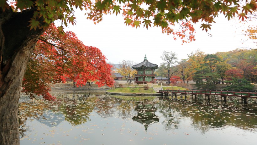 韩国景福宫人文风景图片(8张)