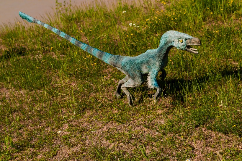 白垩纪时期的恐龙模型图片(12张)