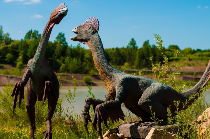 白垩纪时期的恐龙模型图片(12张)