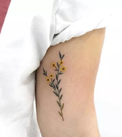 小清新花朵纹身 女神专属的9张花儿纹身图片
