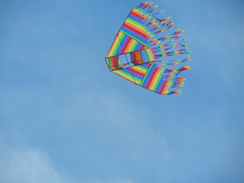 天空中的风筝图片(15张)