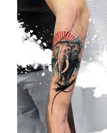纹身水彩动物 一组水彩风格的动物纹身图片欣赏