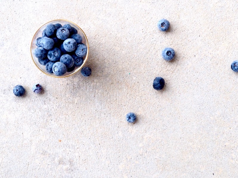 深蓝色的蓝莓图片(11张)