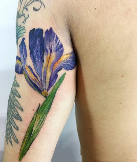 纹身植物图片 很小清新的一组花卉植物纹身图片