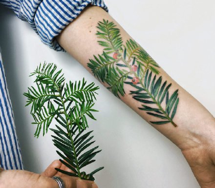 纹身植物图片 很小清新的一组花卉植物纹身图片