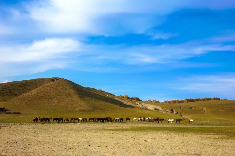 让人震撼的内蒙古乌兰布统唯美秋季自然风景图片(11张)