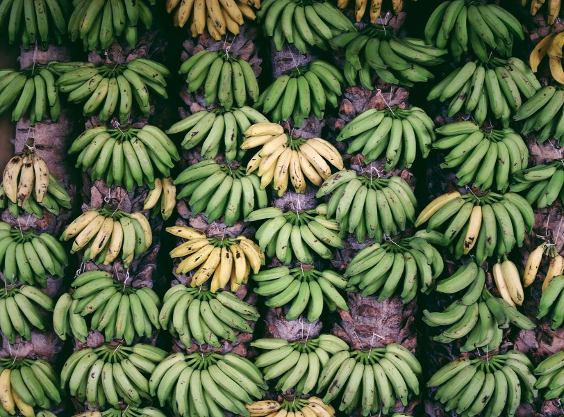 香蕉的特写图片(10张)