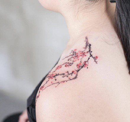 纹身梅花图 一组玫瑰等传统小清新花卉纹身图片