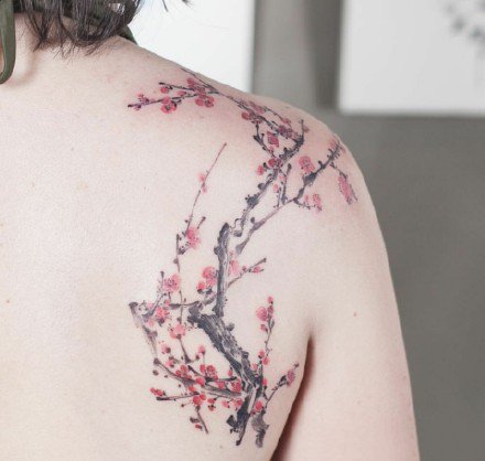 纹身梅花图 一组玫瑰等传统小清新花卉纹身图片