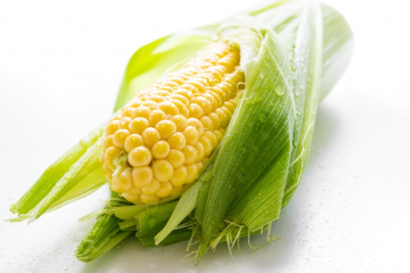 饱满圆润的玉米图片(10张)