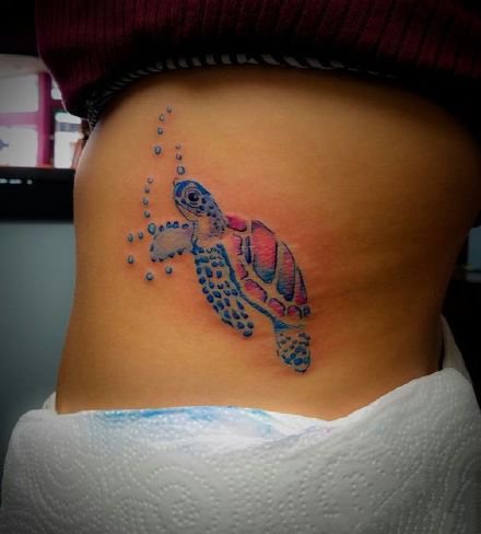 小海龟纹身 很小清新的彩色小海龟纹身图片