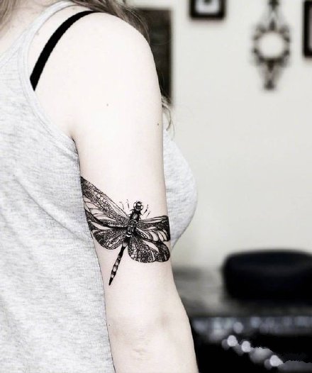 蜻蜓纹身 9款小清新的黑灰色蜻蜓线条纹身图案