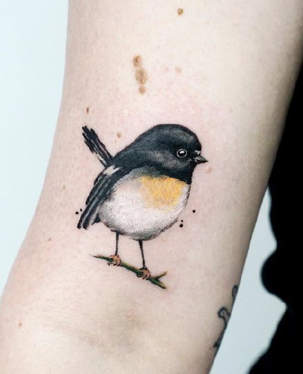 鸟纹身 9张很可爱的小清新小小鸟纹身图案