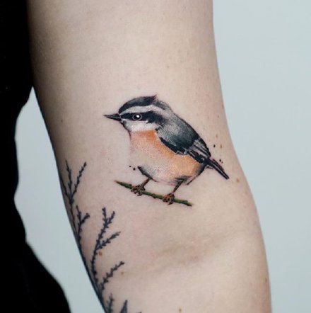 鸟纹身 9张很可爱的小清新小小鸟纹身图案