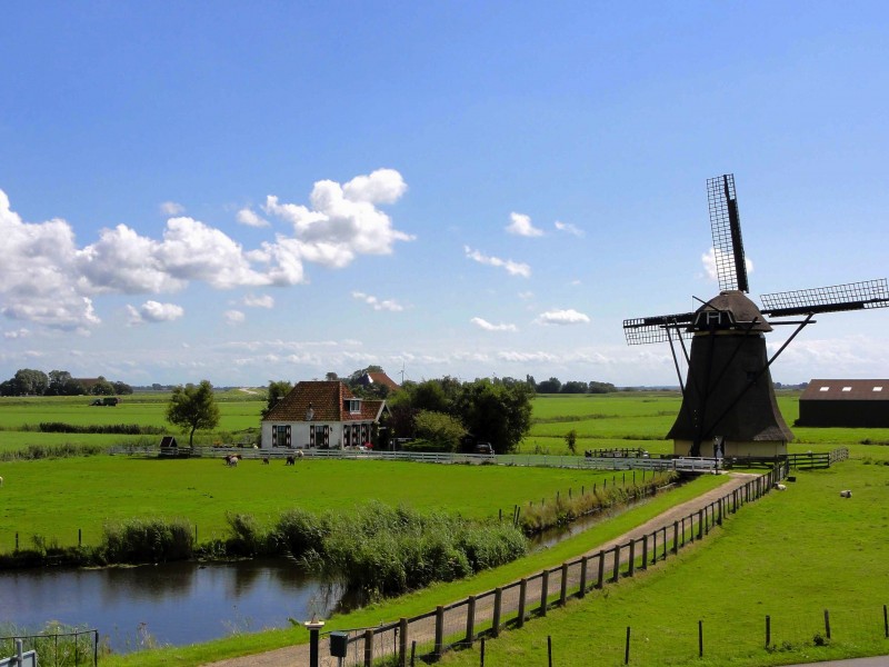 荷兰风车的特写图片(12张)