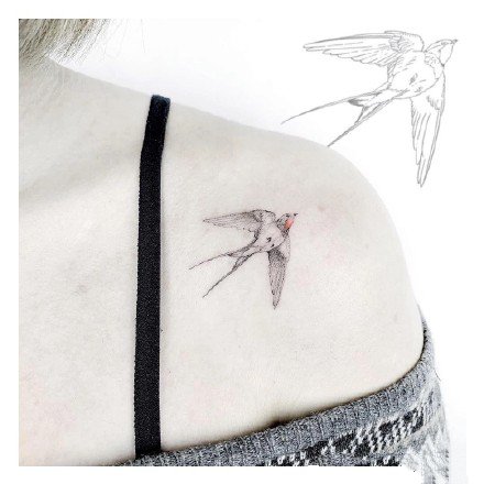 飞燕纹身 9张灵巧的小鸟燕子主题纹身图片