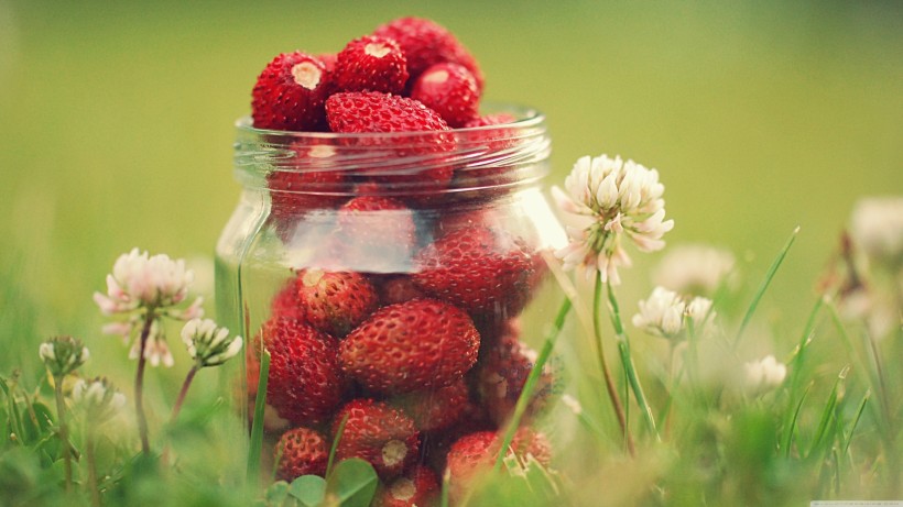 酸甜可口的草莓图片(11张)