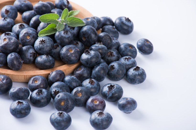 新鲜有营养的蓝莓图片(8张)