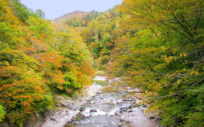 日本长野县自然风景图片(9张)