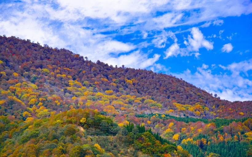 日本长野县自然风景图片(9张)