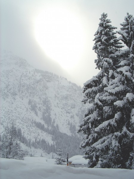冬天唯美的雪景图片(11张)