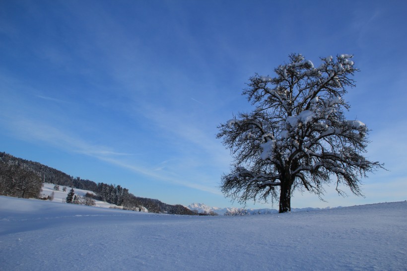 冬天唯美的雪景图片(11张)