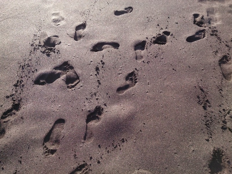 沙滩上的脚印图片(12张)