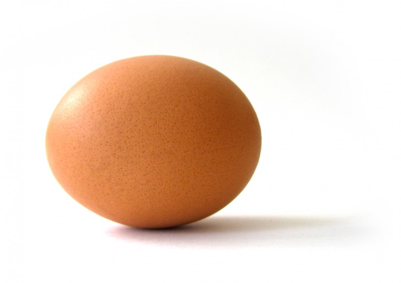 一个黄色的鸡蛋图片(12张)
