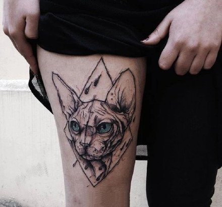 斯芬克斯猫主题的一组猫纹身图片
