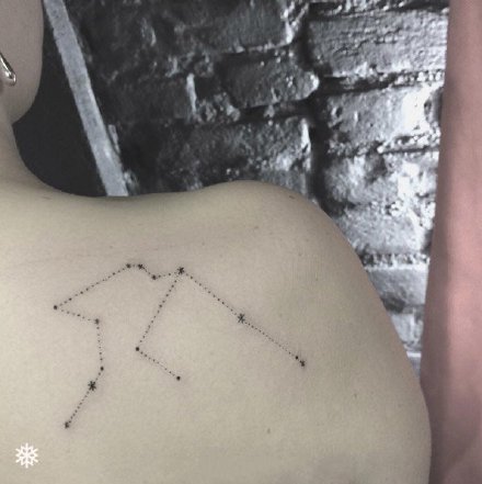线行星座的一组星座线条纹身作品图片