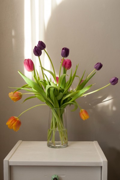 花瓶里的郁金香图片(10张)