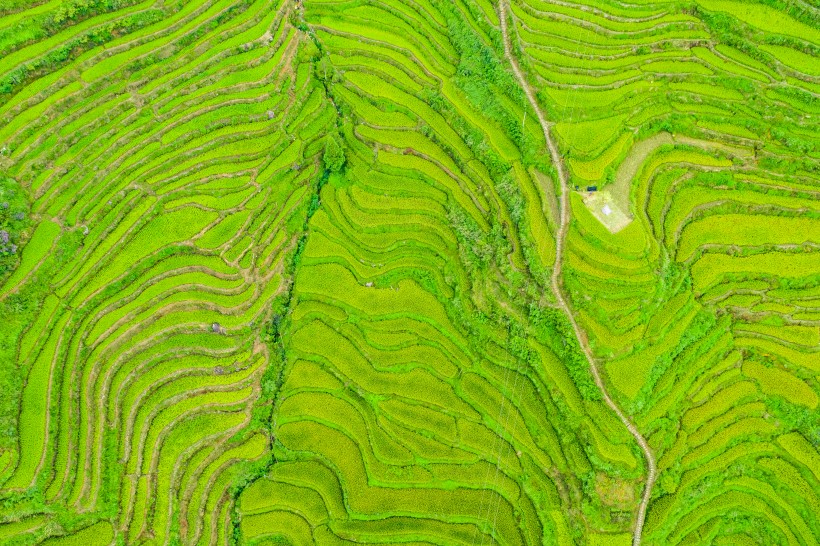 浙江丽水云和梯田风景图片(9张)