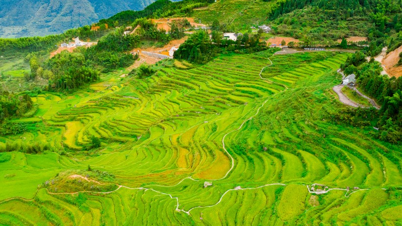 浙江丽水云和梯田风景图片(9张)