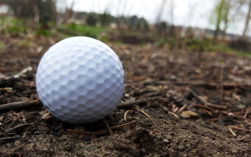 小小的白色高尔夫球图片(13张)