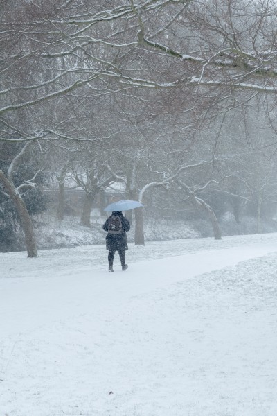 在雪中撑伞的人图片(11张)