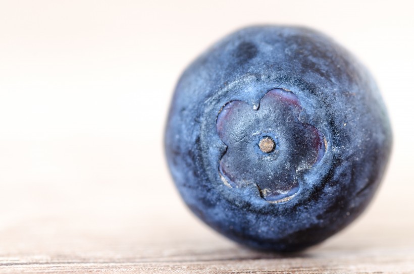 抗氧化功效强大的蓝莓图片(11张)
