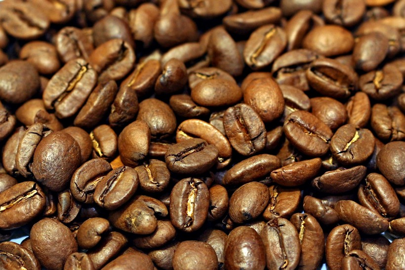 颗粒饱满的咖啡豆图片(9张)