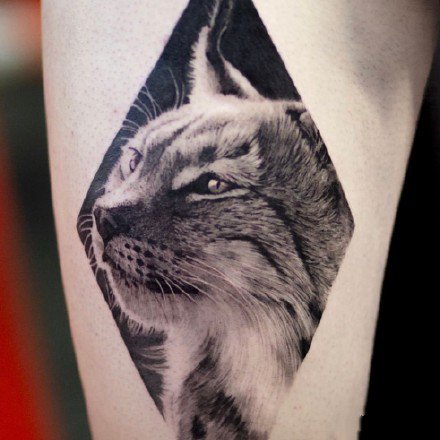 黑灰色的一组动物头像纹身图案欣赏