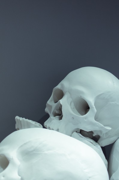 逼真的人体骨架模型图片(15张)