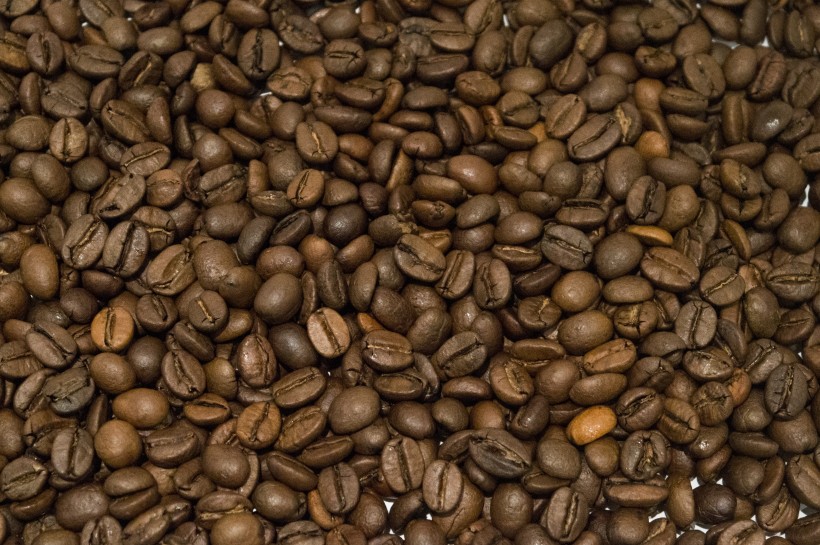 颗粒饱满的咖啡豆图片(9张)