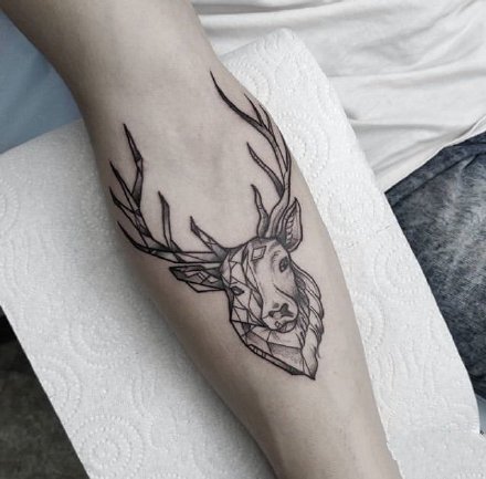好看的一组9张小鹿头主题刺青纹身图片