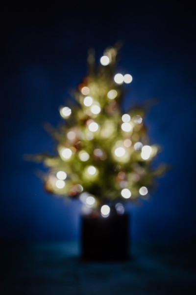 缠满小灯泡的圣诞树图片(11张)