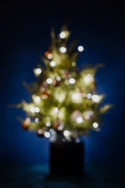 缠满小灯泡的圣诞树图片(11张)