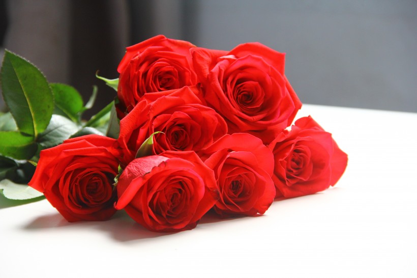 热情似火的红色玫瑰花图片(9张)