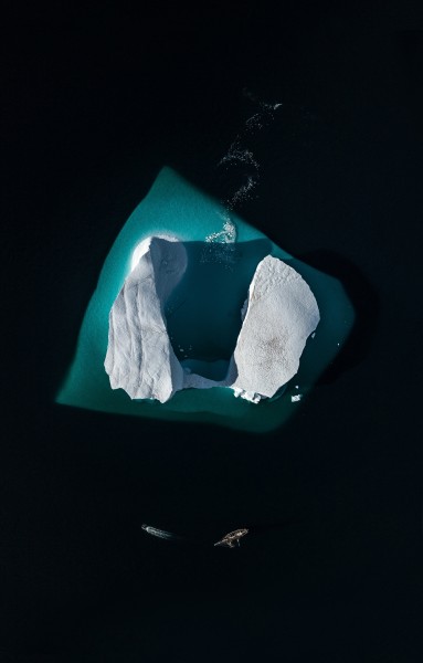 极地地区的冰山图片(11张)