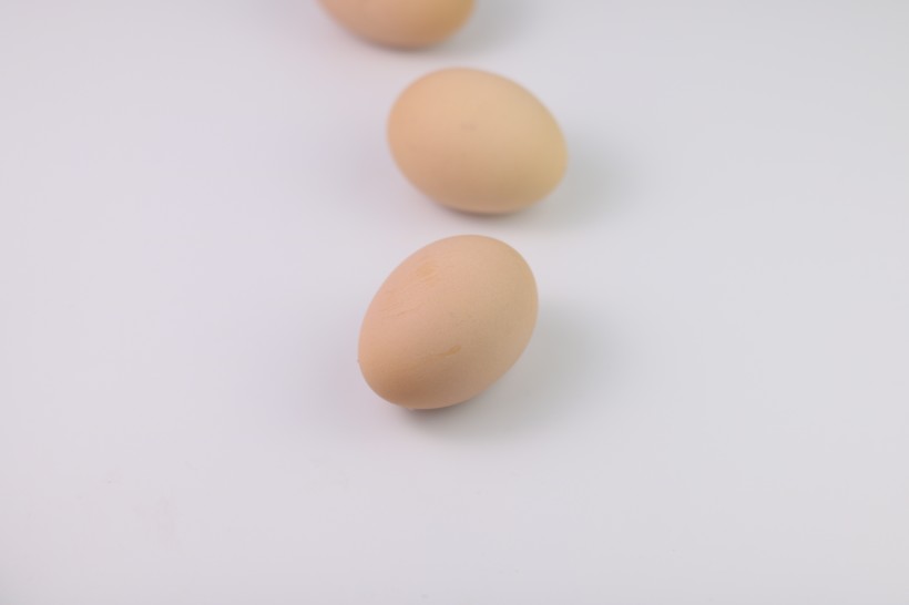 新鲜的草鸡蛋图片(12张)
