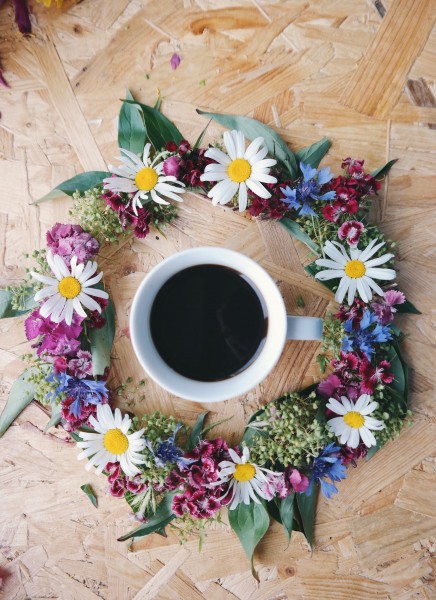桌子上的咖啡和鲜花的图片(19张)